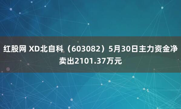红股网 XD北自科（603082）5月30日主力资金净卖出2101.37万元