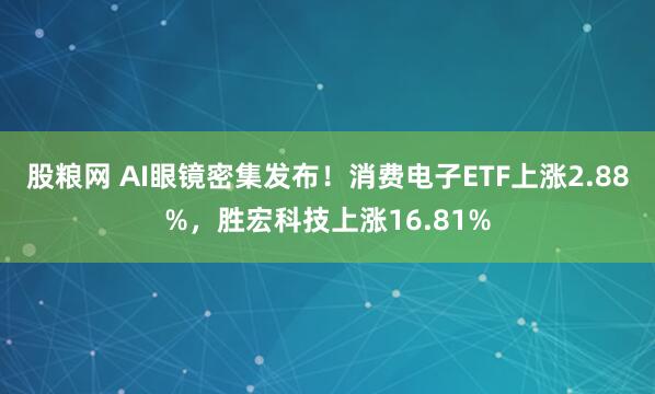 股粮网 AI眼镜密集发布！消费电子ETF上涨2.88%，胜宏科技上涨16.81%