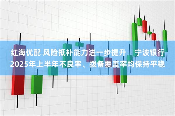 红海优配 风险抵补能力进一步提升    宁波银行2025年上半年不良率、拨备覆盖率均保持平稳