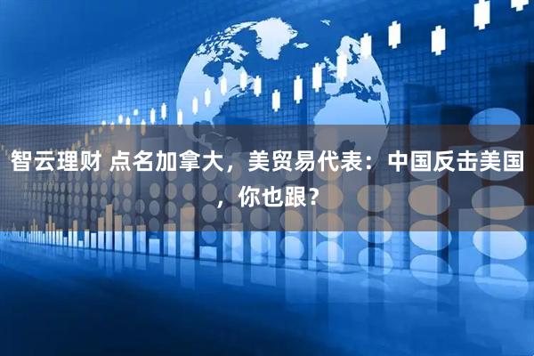 智云理财 点名加拿大，美贸易代表：中国反击美国，你也跟？