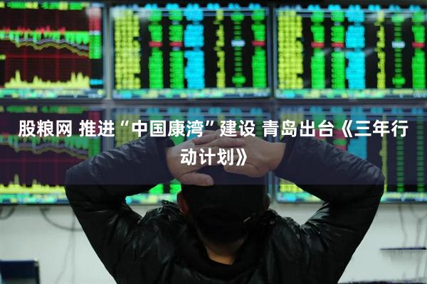 股粮网 推进“中国康湾”建设 青岛出台《三年行动计划》