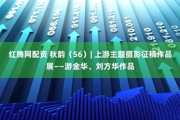 红腾网配资 秋韵（56）| 上游主题摄影征稿作品展——游金华、刘方华作品