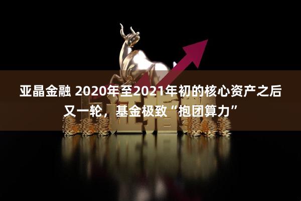 亚晶金融 2020年至2021年初的核心资产之后又一轮，基金极致“抱团算力”