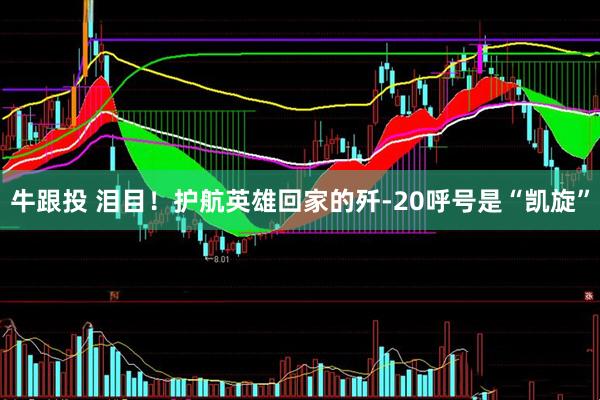 牛跟投 泪目！护航英雄回家的歼-20呼号是“凯旋”